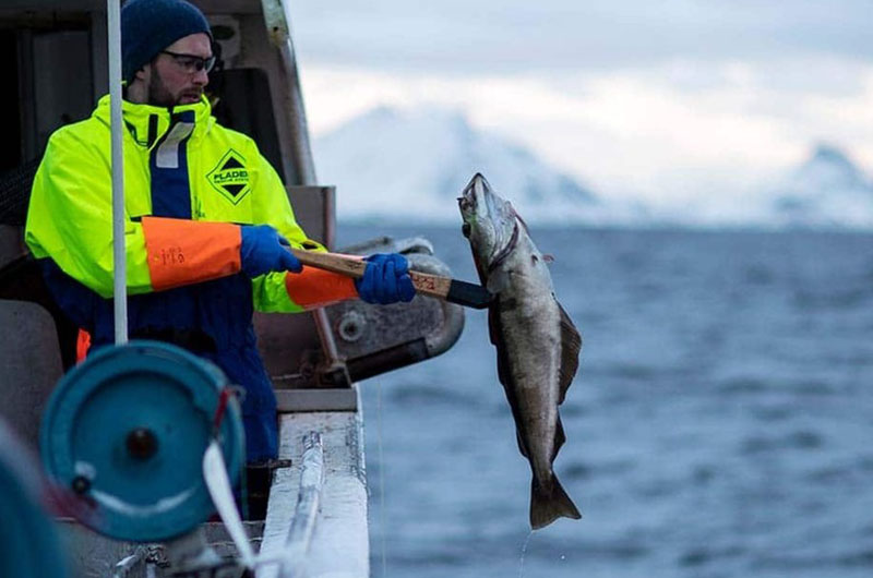 Nusfjord_fishing - thumbnails